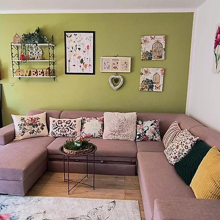 Sweet Garden Residence Brasov Exterior photo