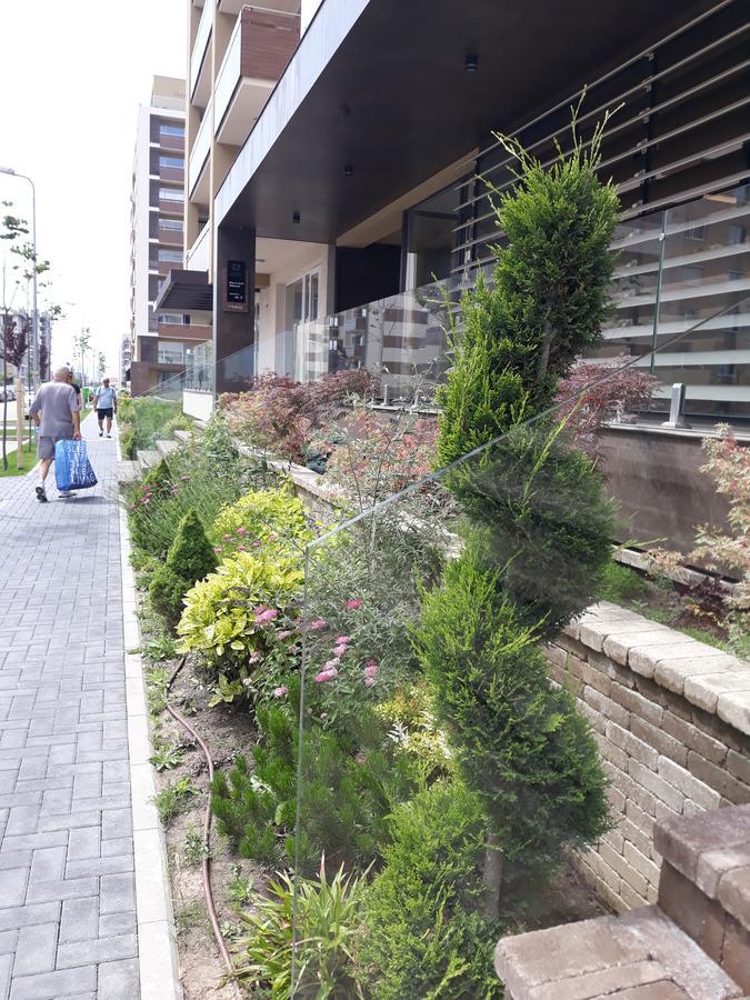 Sweet Garden Residence Brasov Exterior photo